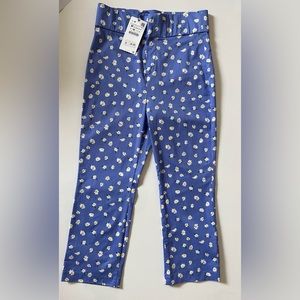 NWT Medium Zara blue cornflower pants.